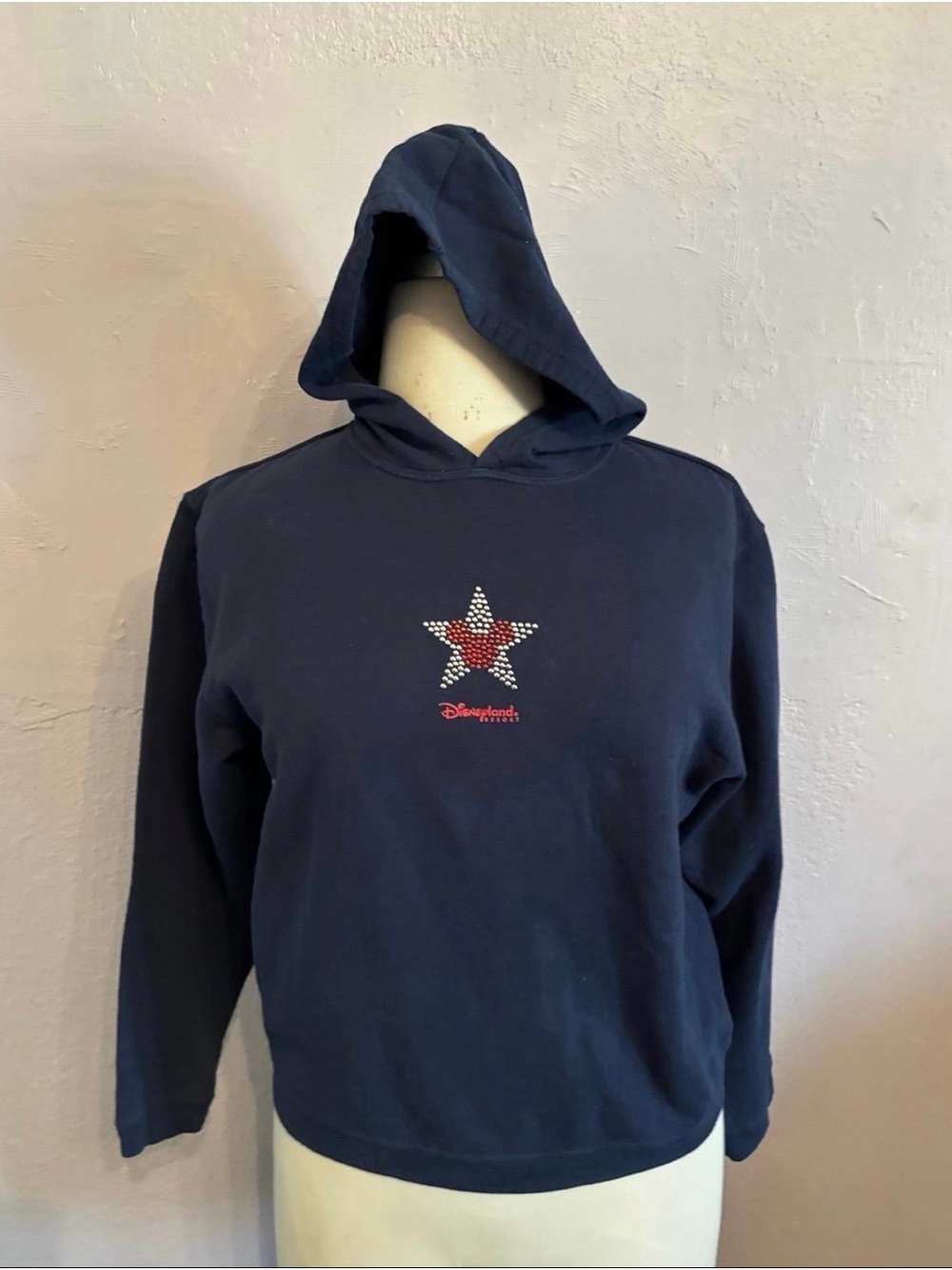 Disneyland resort hoodie